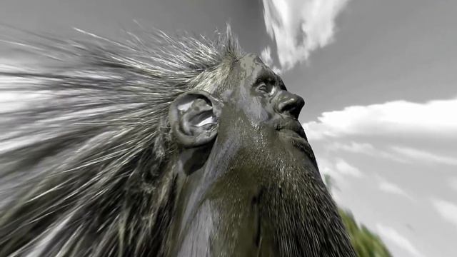 Fretless bass Ibanez gwb35 смотреть онлайн