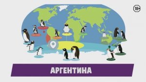 Где увидеть пингвинов в дикой природе?