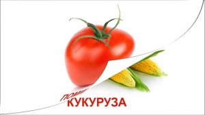 Развивающие карточки Домана. Овощи.