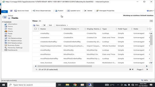 Dynamics CRM Entities explained | How to create custom entites in dynamics 365