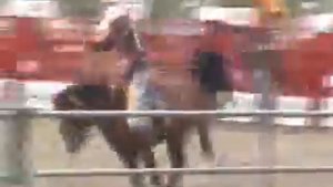 2009 05 16 Лошади, Радео шоу Родео 5 38   копия