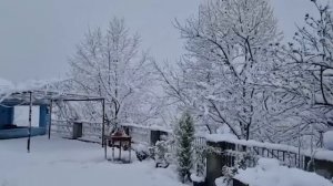 УГОЛЬНЫЙ ХЛЕБ - ОЧЕНЬ ПОЛЕЗНЫЙ ДЛЯ ЖЕЛУДКА Азербайджанская Кухня Деревенская Кухня  Рецепты