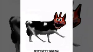 Dancing Polish Cow (MEME COVER)