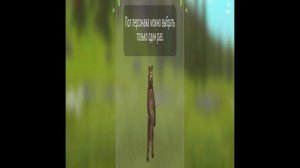 Смотрите фильм на канале! Начало прохождения гепарда 🐆