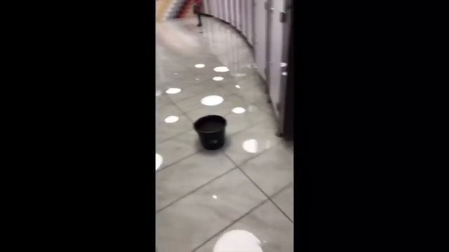 Потоп в казанском цирке смотреть онлайн