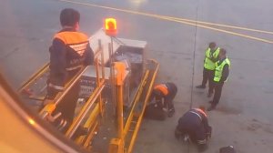 Проверка багажа в Шереметьево.