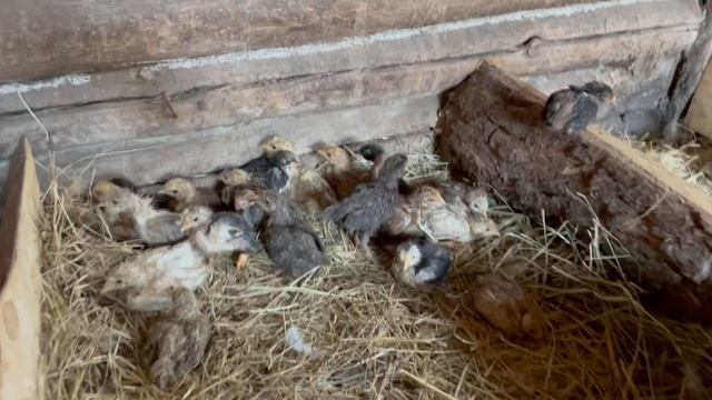 05-07-2023 смотреть онлайн