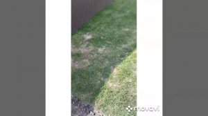 подготовка участка под рулонный газон.