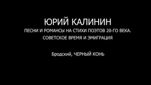 БРОДСКИЙ - ЧЕРНЫЙ КОНЬ