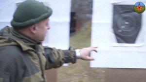 Прицел BREVIS P2,5х24L