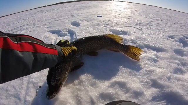 Рыбалка в ХМАО март2016 смотреть онлайн
