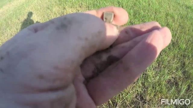 Днепровские кручи и Человеческие кости !!! как Коп чуть не превратился в охоту #ВидеоЗапискиМихалыч смотреть онлайн