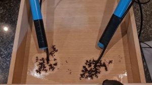 Выжигаем Фигуры Лихтенберга на Дереве Молнии Lichtenberg Figures Lightning on Wood