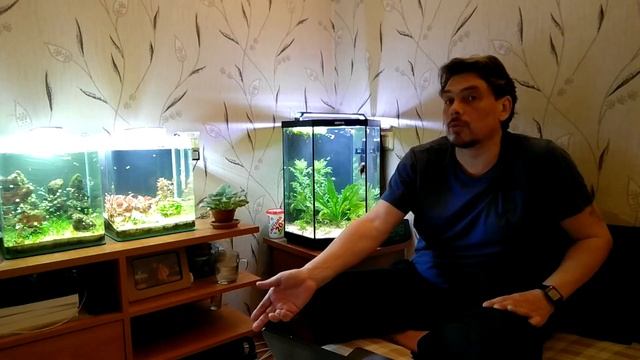 Приоритеты: рыбы, растения, креветки.