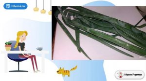 Салат из рыбных консерв и плавленого сырка. Быстрый вкусный