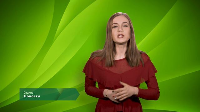 ЭкоНовости. Свежие новости. Где узнать о состоянии столичной экологии