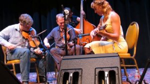Foghorn Stringband Performs "Lost Girl"