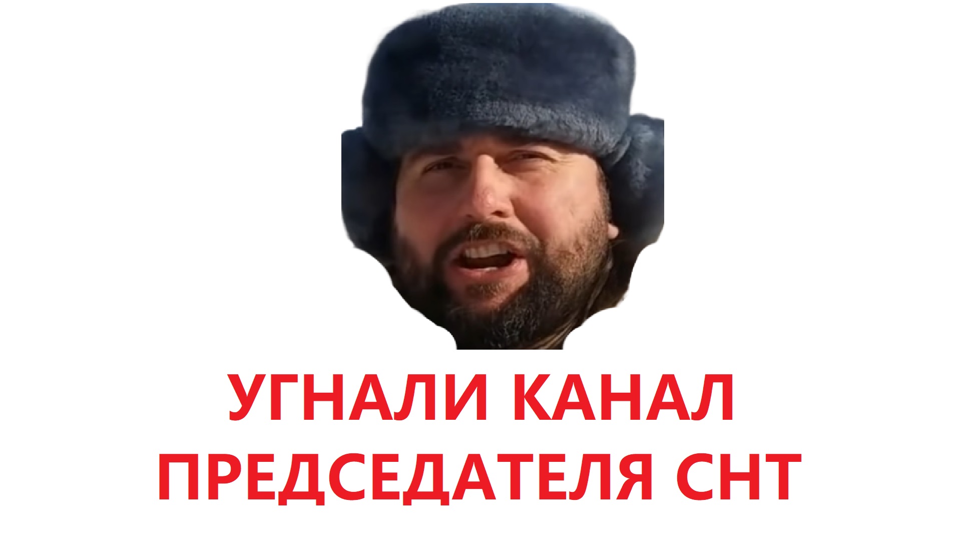 Снт блоггер