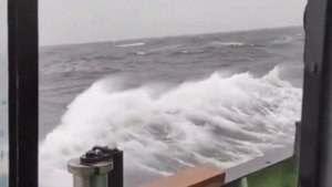 Добыча краба