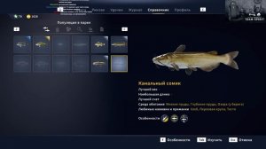 Call of the Wild: The Angler *ПЕРВЫЙ ВЗГЛЯД* (Стрим от 07.09.2022)
