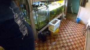 Лопнул 350л аквариум да еще как. Я  такое первый раз вижу