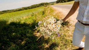 Наталія Бунь  Ромашки білі