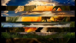 Что нельзя делать в День Рождения и что нельзя принимать в дар?