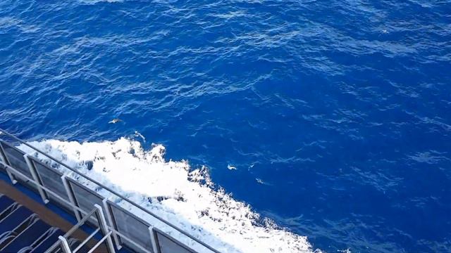 08.12.2016. Круиз, лайнер. Карибское море. смотреть онлайн