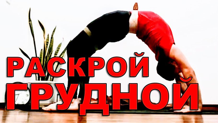 Йога Дома | ИНТЕНСИВНАЯ ВИНЬЯСА ЙОГА | Йога Упражнения в Связках
