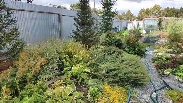 Осенние подкормки? Готовлю растения к зиме?10.09.2023