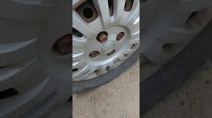 Dewalt DCF922... um monstro!!!