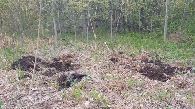 Сдаем металл смотреть онлайн