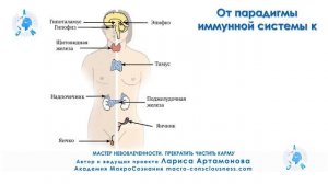 Прекратите чистить карму. Часть 1. Мастер Невовлеченности