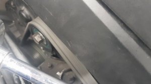 Вой ременя ГРМ  Gates 5631XS 21126