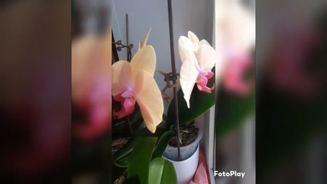 #отличногонастроения #доброе #доброеутро ☀️☀️☀️