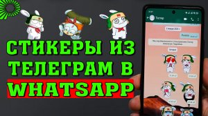 Как перенести стикеры из Телеграм в ватсап? Перенос стикеров из Телеграм в WhatsApp