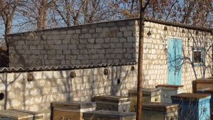 Как сохранить сушь,сотовые рамки от моли/Мой метод хранения суши