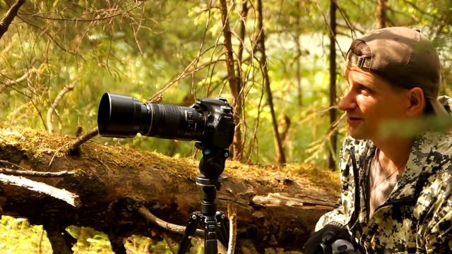 съемка птиц на canon 70D / canon 600D кайф в лесу смотреть онлайн