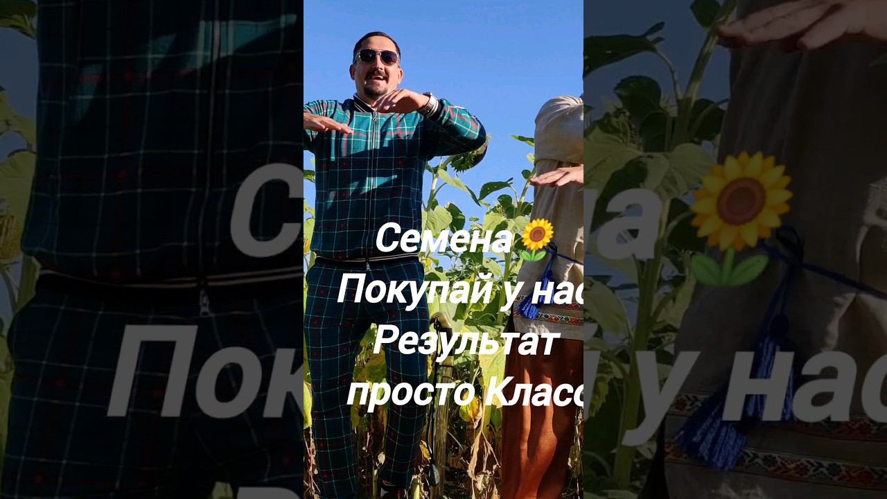 #гибриды #подсолнечник #регионзащитырастений #семенаподсолнечника #аграрии #сингента