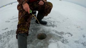 Ловля белой рыбы со льда. Узнал секрет и начал ловить