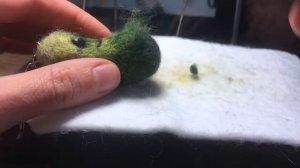 ВАЛЯЮ ОГУРЕЦ С ПУПЫРЫШКАМИ | БРЕЛОК ВАЛЯНИЕ |CУХОЕ ВАЛЯНИЕ