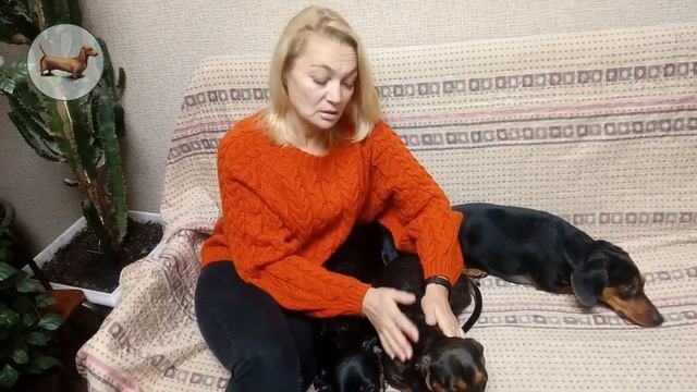 ? ? ? ^ ЧТО ЛУЧШЕ ОДНОЙ ТАКСЫ? ТОЛЬКО ТРИ ТАКСЫ! смотреть онлайн