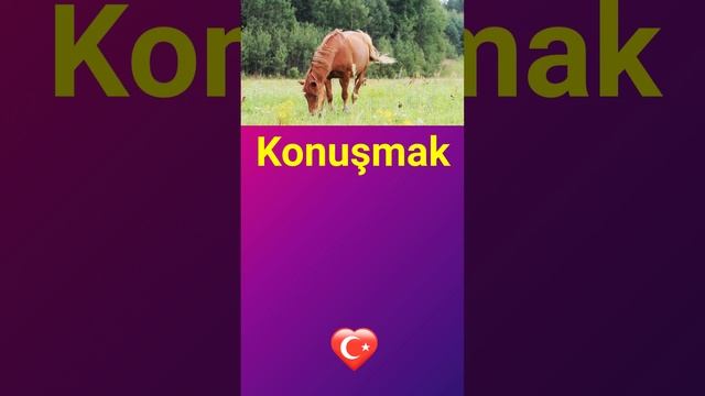 ГОВОРИТЬ ПО ТУРЕЦКИ ТУРЕЦКИЙ ЯЗЫК ОНЛАЙН УРОКИ И ГРАММАТИКА ТУРЕЦКОГО ЯЗЫКА ДЛЯ НАЧИНАЮЩИХ смотреть онлайн