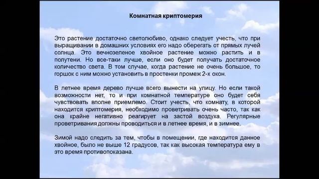 Криптомерия