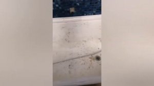 Реставрация ванны, со снятием старой краски!