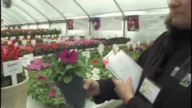 Hem Genetics смотреть онлайн