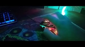 ПОЯСНЯЮ ЗА BLOODY Q51 /// ИГРОВАЯ МЫШЬ BLOODY Q51 2020
