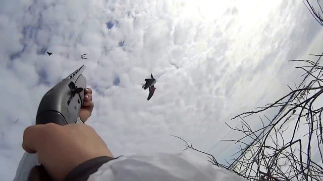 Охота на гуся самоучитель смотреть онлайн