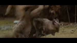 Jacob Black   Animal I Have Become   The Twilight Sagavia torchbrowser com