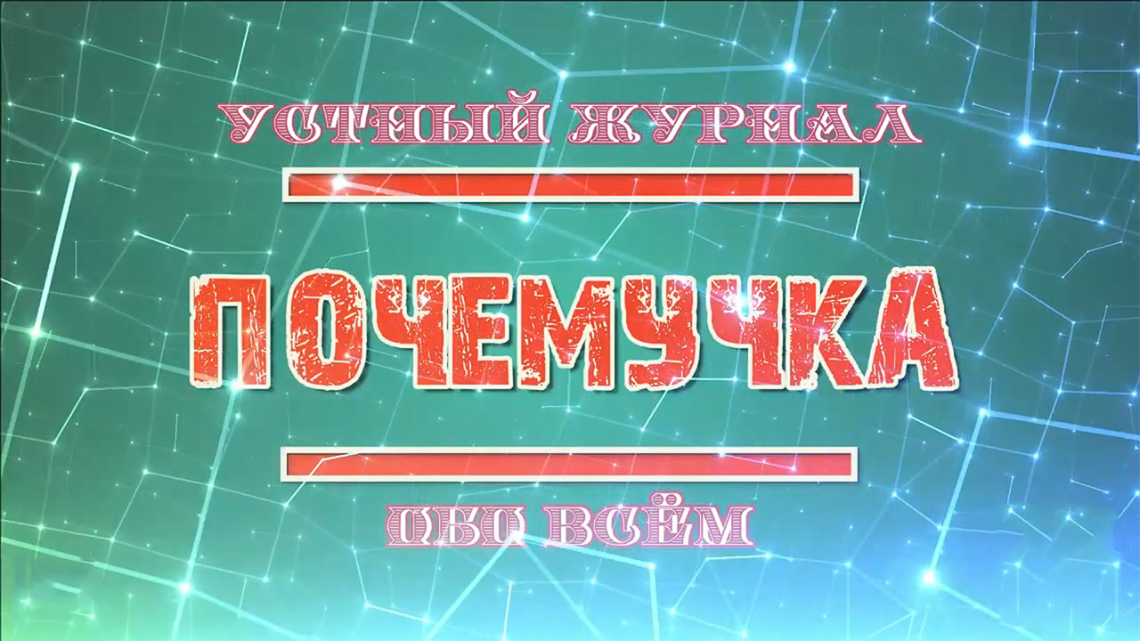 «Почемучки»
